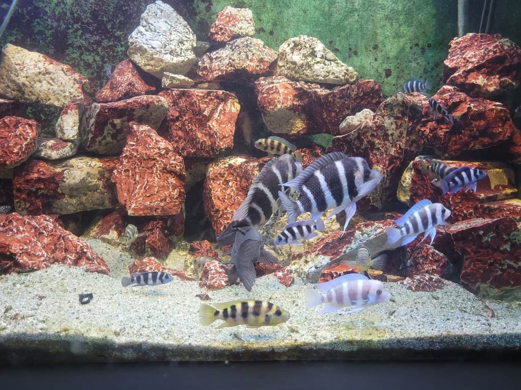 WhatsApp Image 2023-04-21 at 17.10.12 (3).jpeg